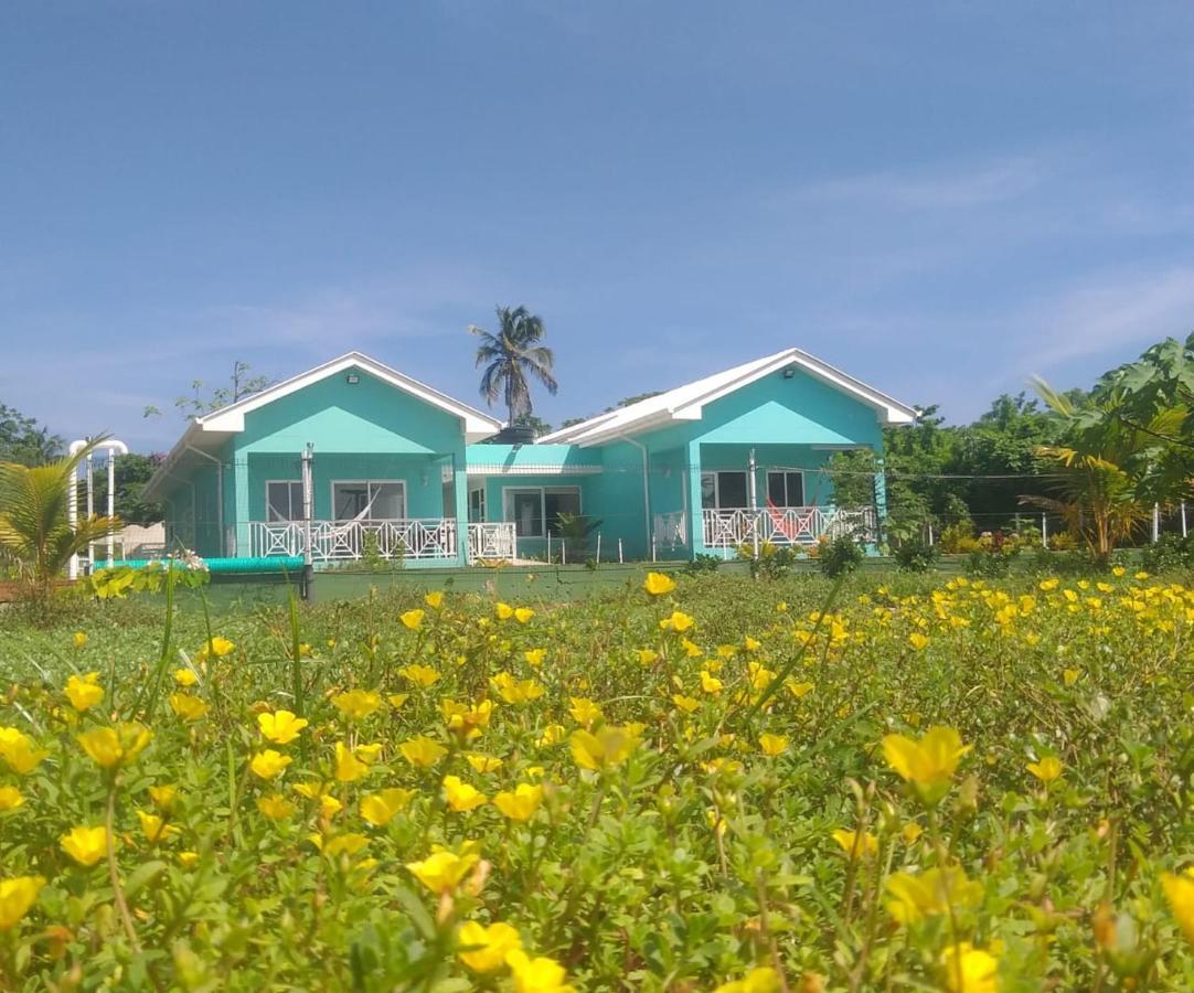 Blue Lizard House Villa San Andrés Exterior foto