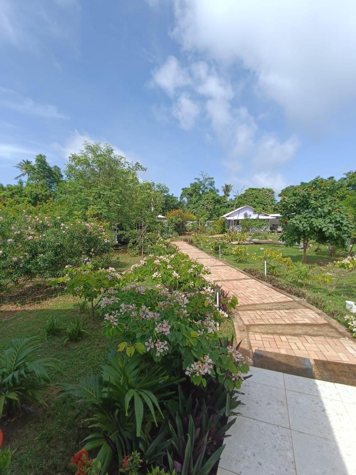 Blue Lizard House Villa San Andrés Exterior foto