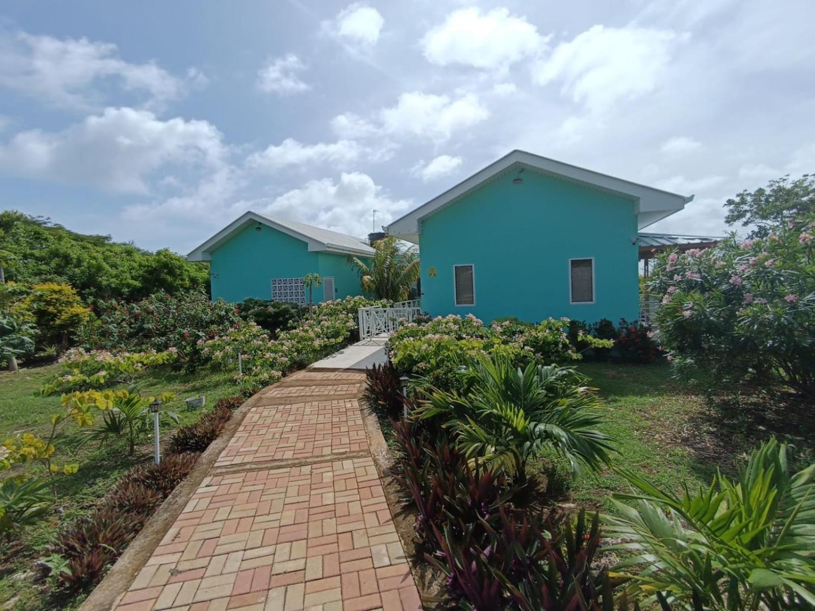 Blue Lizard House Villa San Andrés Exterior foto