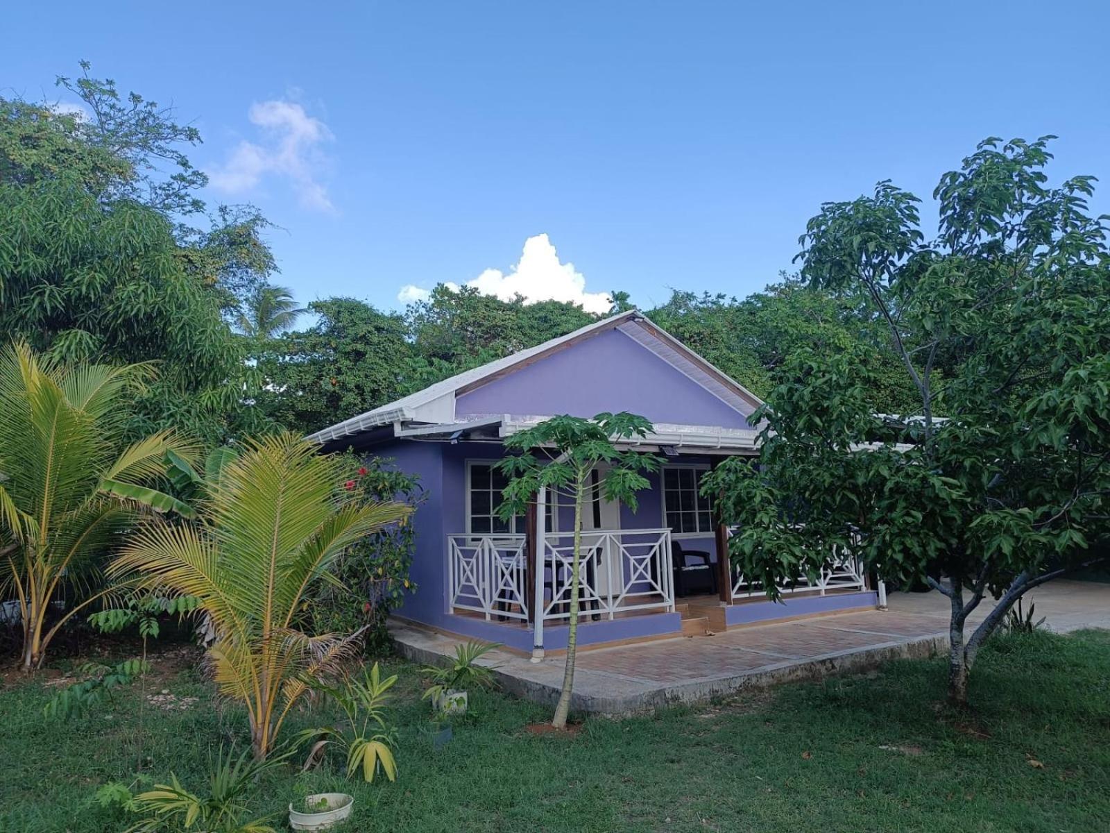 Blue Lizard House Villa San Andrés Exterior foto